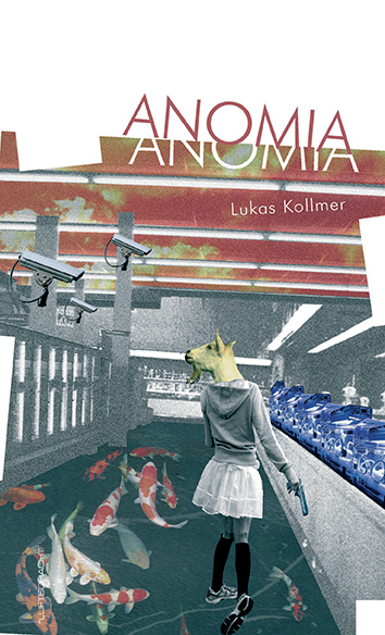 cv_kollmer_anomia_web